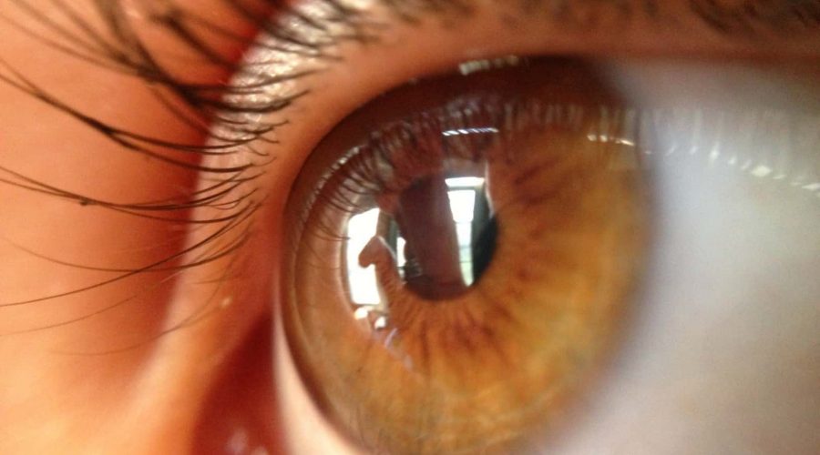 Eye-Tracking