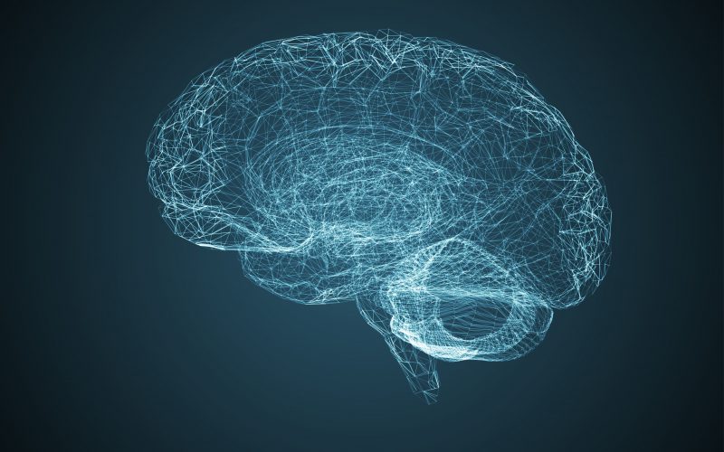 How Does Zing Stimulate The Brain